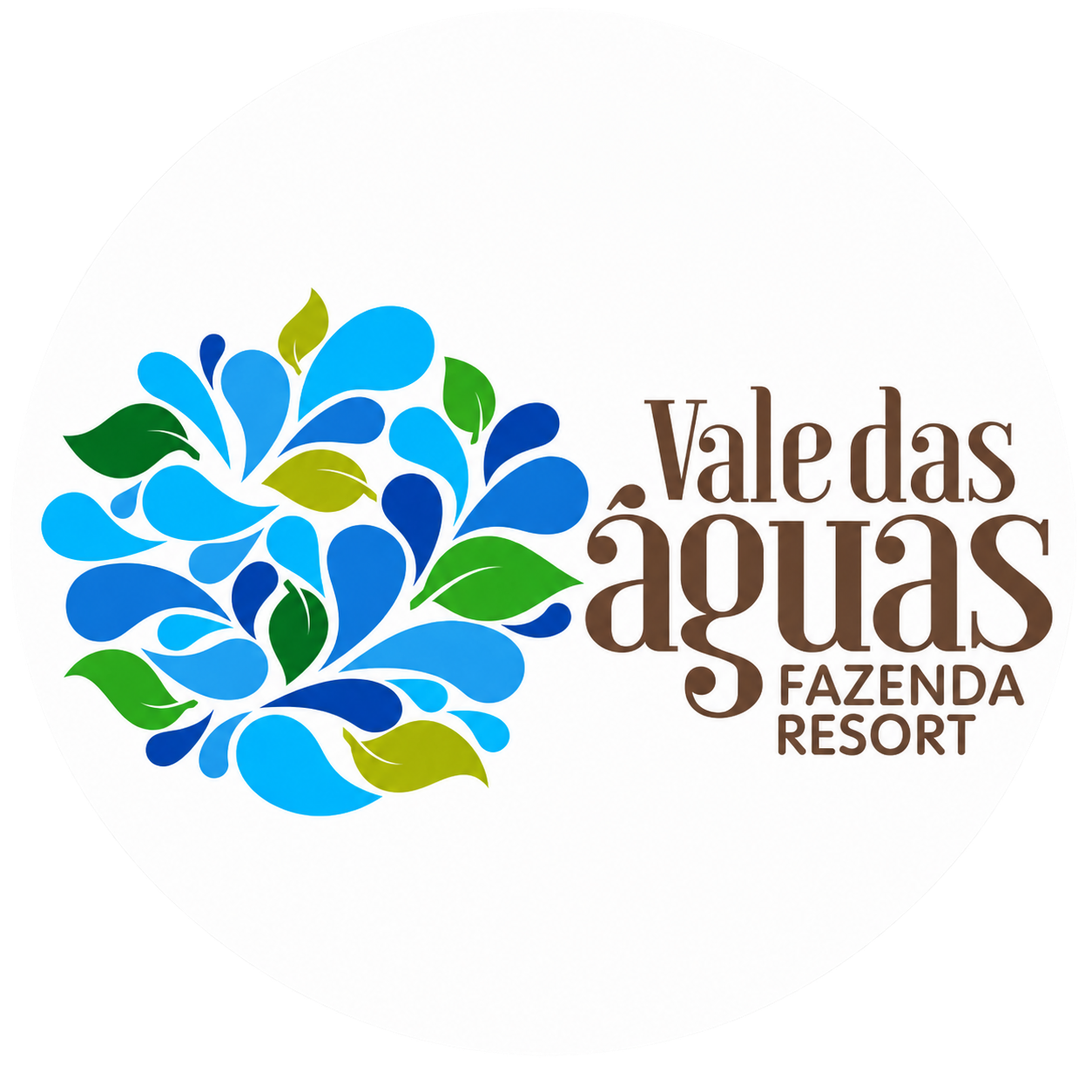 logo vale das aguas